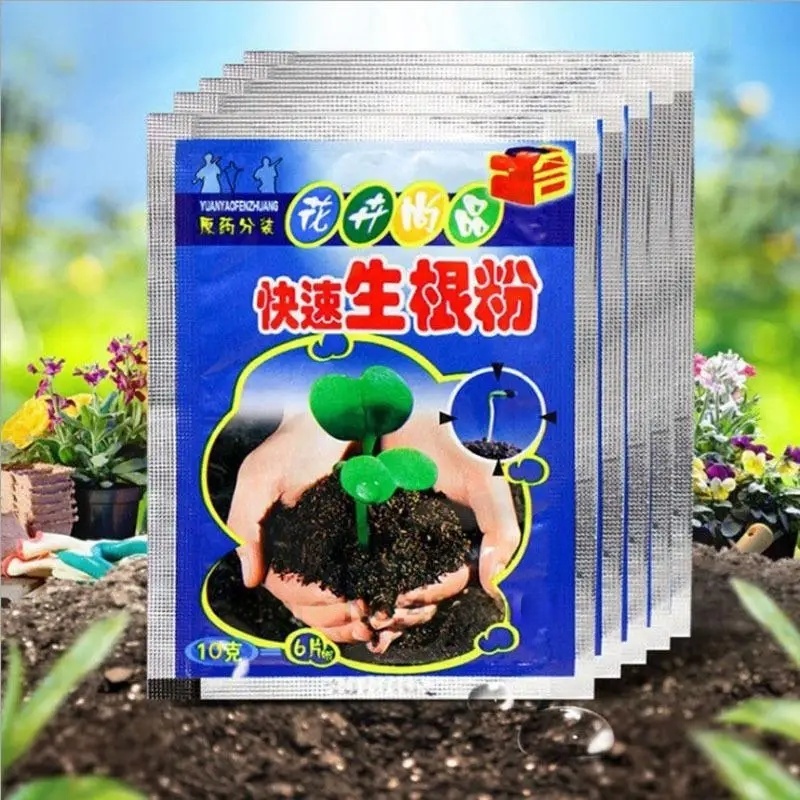 5 szt. Szybki Proszek do Korio – Rooting Hormone Powder recenzja i cena